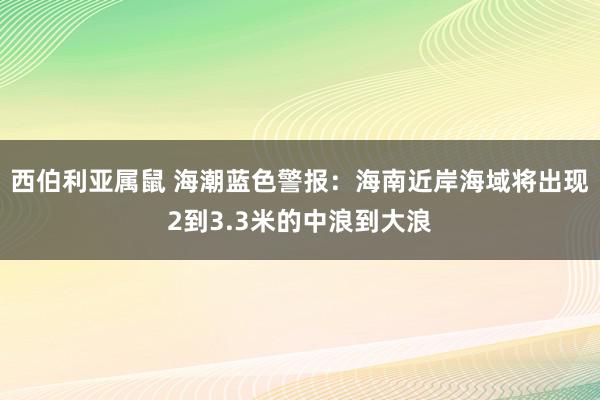 西伯利亚属鼠 海潮蓝色警报：海南近岸海域将出现2到3.3米的中浪到大浪