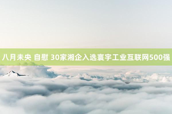 八月未央 自慰 30家湘企入选寰宇工业互联网500强