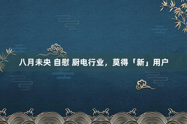 八月未央 自慰 厨电行业，莫得「新」用户